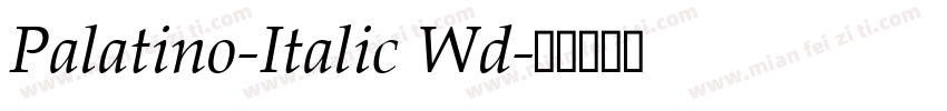 Palatino-Italic Wd字体转换